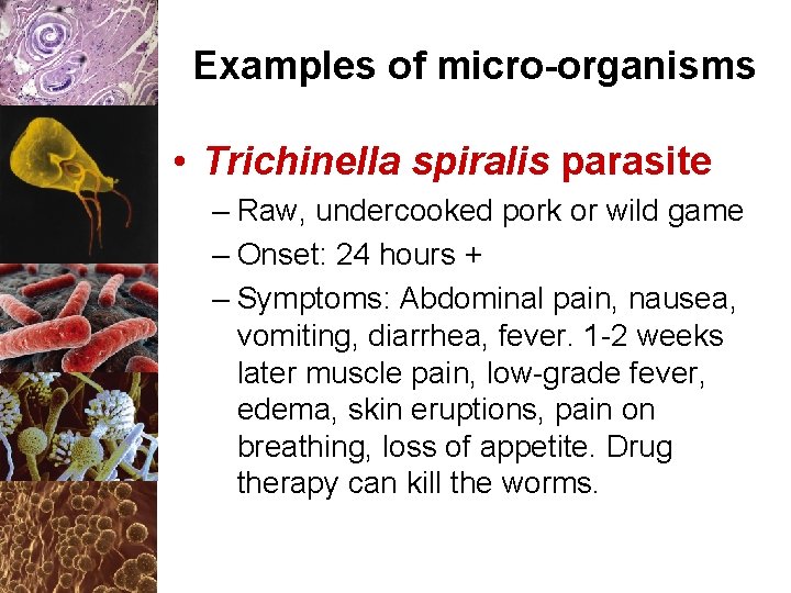 Examples of micro-organisms • Trichinella spiralis parasite – Raw, undercooked pork or wild game