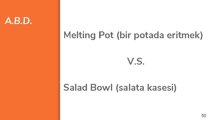 A. B. D. Melting Pot (bir potada eritmek) V. S. Salad Bowl (salata kasesi)