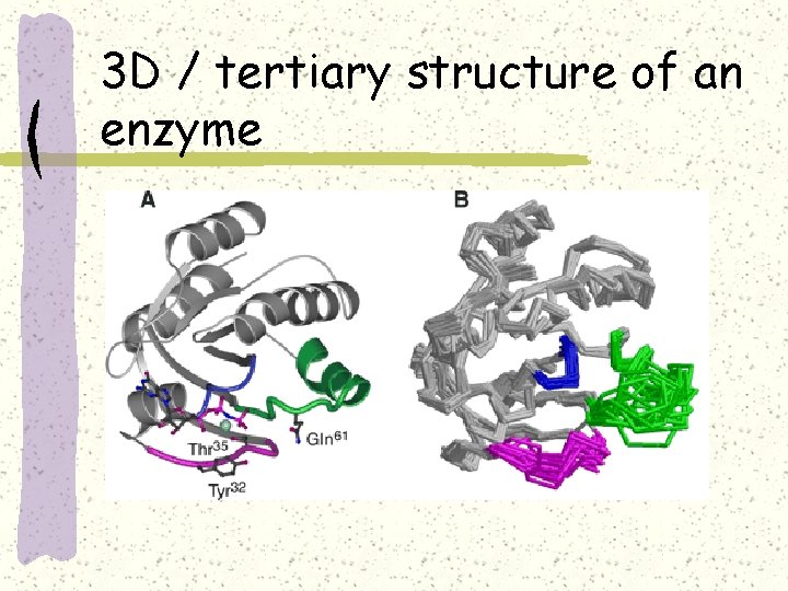 3 D / tertiary structure of an enzyme 