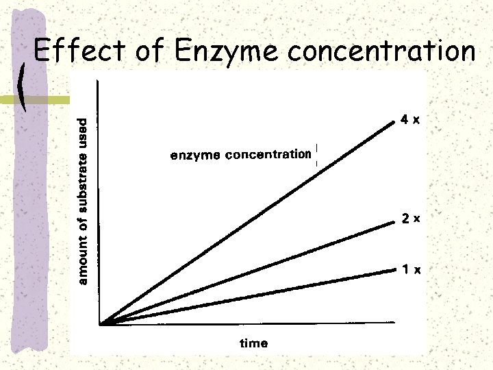 Effect of Enzyme concentration 