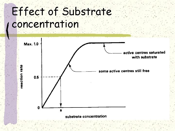 Effect of Substrate concentration 