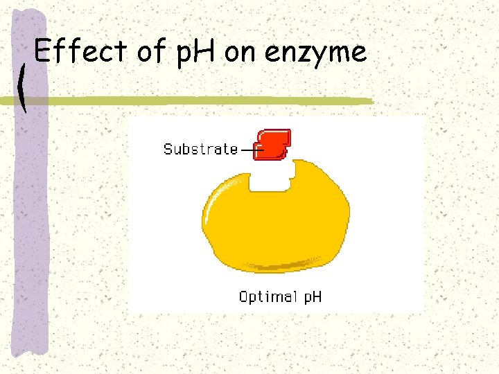 Effect of p. H on enzyme 