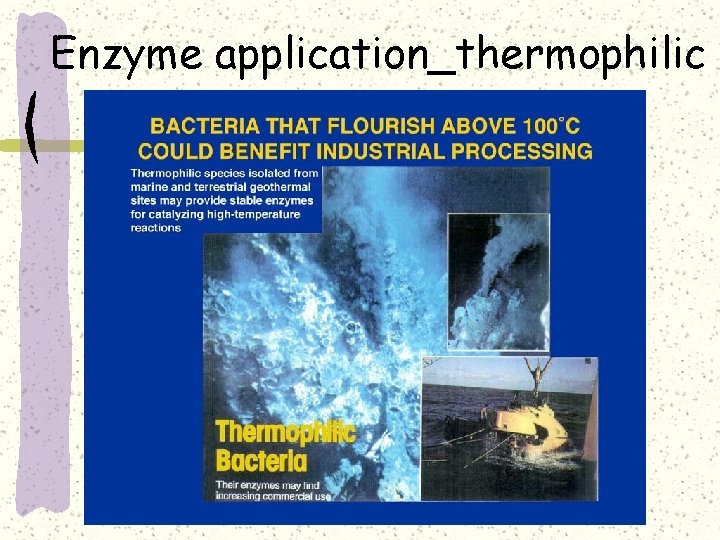 Enzyme application_thermophilic 