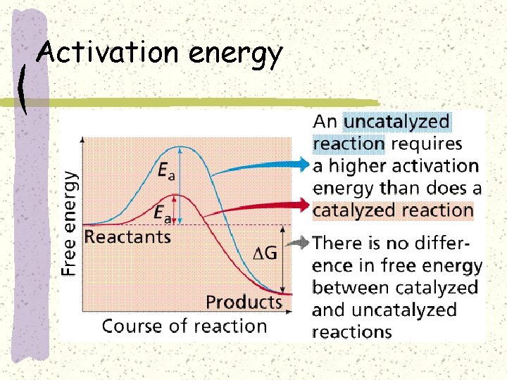Activation energy 