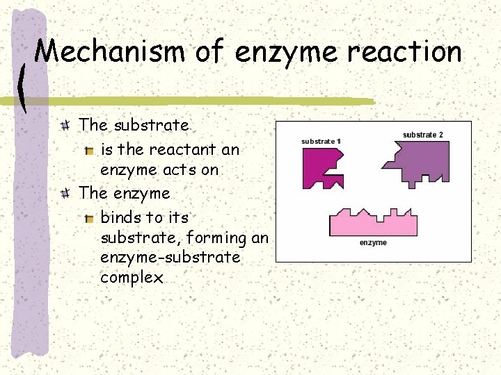 Mechanism of enzyme reaction The substrate is the reactant an enzyme acts on The