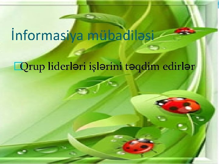 İnformasiya mübadiləsi �Qrup liderləri işlərini təqdim edirlər 