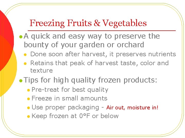 Freezing Fruits & Vegetables l. A quick and easy way to preserve the bounty