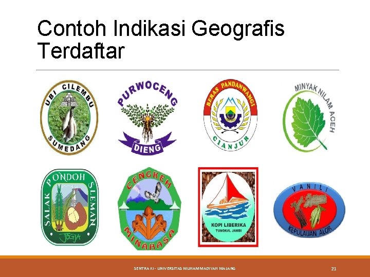 Contoh Indikasi Geografis Terdaftar SENTRA KI - UNIVERSITAS MUHAMMADIYAH MALANG 21 