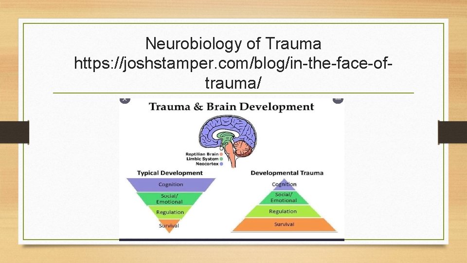 Neurobiology of Trauma https: //joshstamper. com/blog/in-the-face-oftrauma/ 