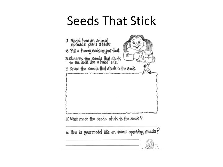 Seeds That Stick 