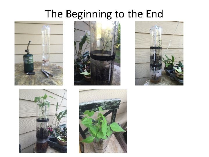 The Beginning to the End 