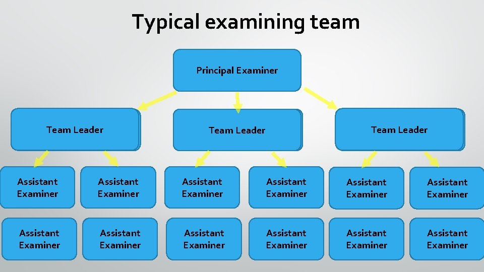 Typical examining team Principal Examiner Team. Leader Team. Leader Assistant Examiner Assistant Examiner Assistant