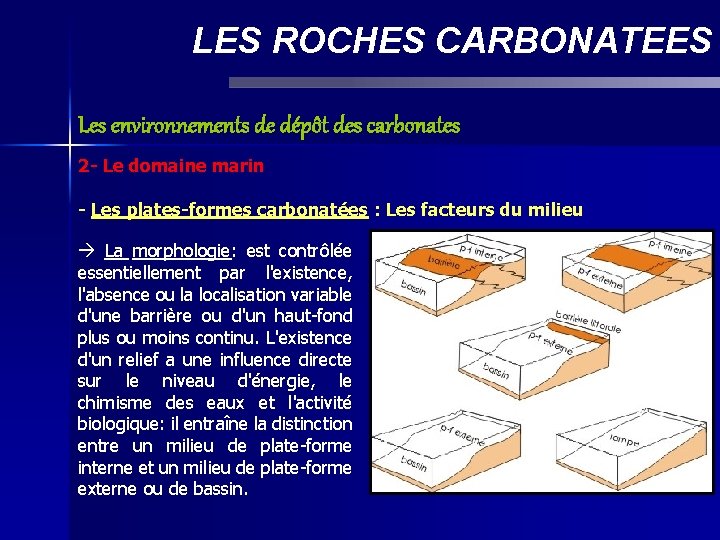 LES ROCHES CARBONATEES Les environnements de dépôt des carbonates 2 - Le domaine marin