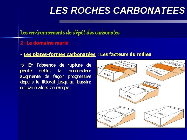 LES ROCHES CARBONATEES Les environnements de dépôt des carbonates 2 - Le domaine marin