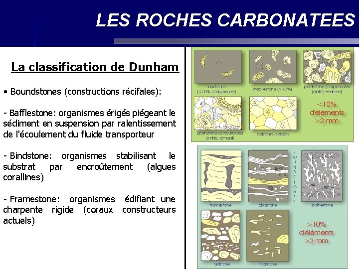 LES ROCHES CARBONATEES La classification de Dunham • Boundstones (constructions récifales): - Bafflestone: organismes