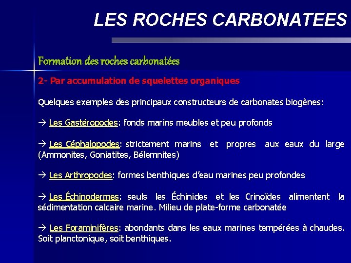 LES ROCHES CARBONATEES Formation des roches carbonatées 2 - Par accumulation de squelettes organiques