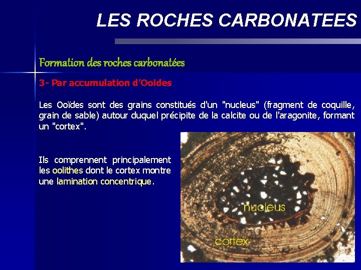 LES ROCHES CARBONATEES Formation des roches carbonatées 3 - Par accumulation d’Ooïdes Les Ooïdes