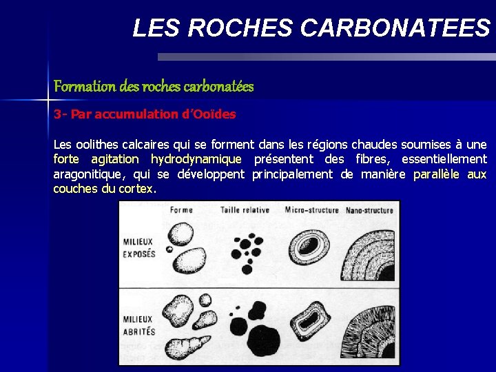 LES ROCHES CARBONATEES Formation des roches carbonatées 3 - Par accumulation d’Ooïdes Les oolithes
