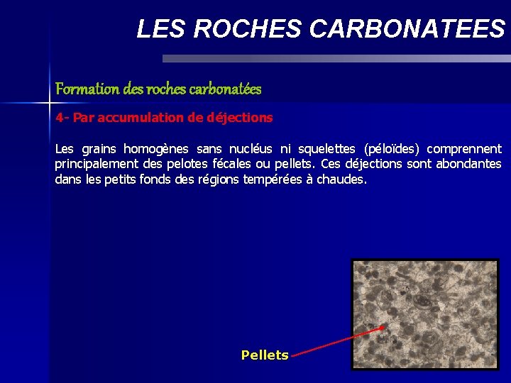 LES ROCHES CARBONATEES Formation des roches carbonatées 4 - Par accumulation de déjections Les