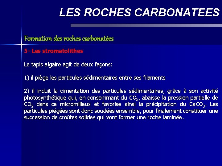 LES ROCHES CARBONATEES Formation des roches carbonatées 5 - Les stromatolithes Le tapis algaire