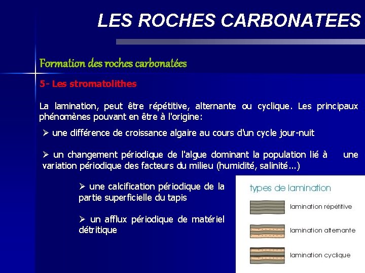 LES ROCHES CARBONATEES Formation des roches carbonatées 5 - Les stromatolithes La lamination, peut