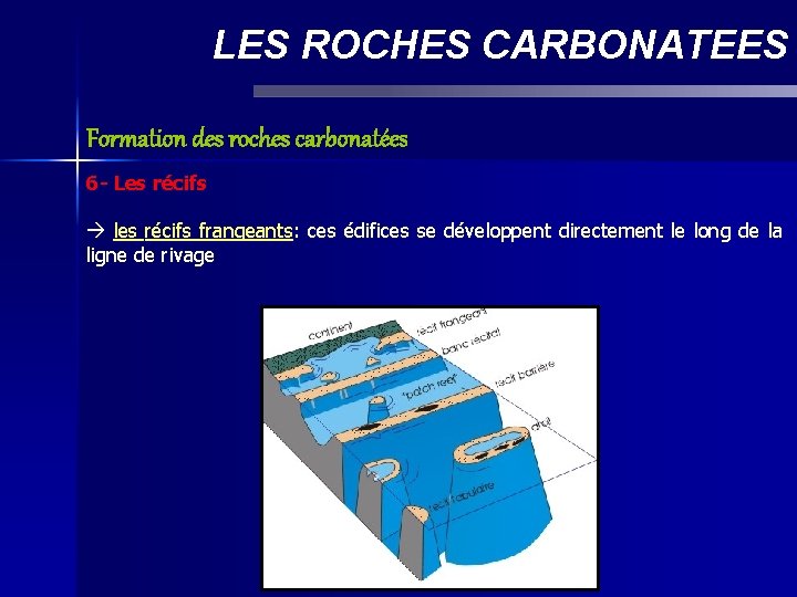 LES ROCHES CARBONATEES Formation des roches carbonatées 6 - Les récifs les récifs frangeants: