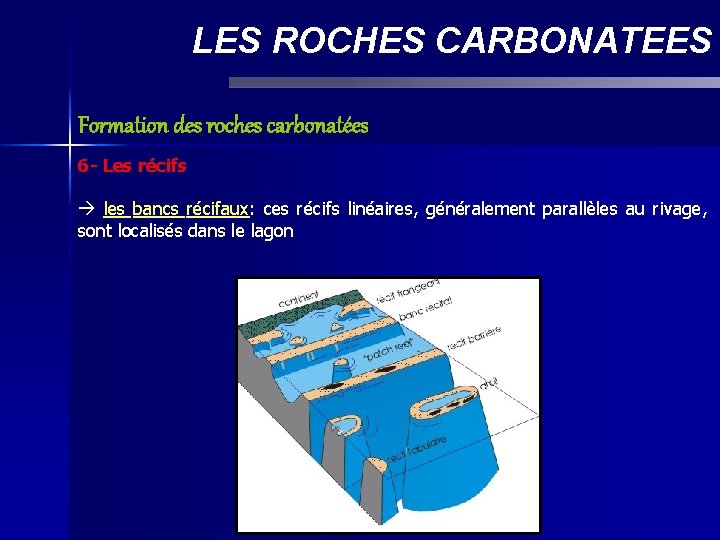 LES ROCHES CARBONATEES Formation des roches carbonatées 6 - Les récifs les bancs récifaux: