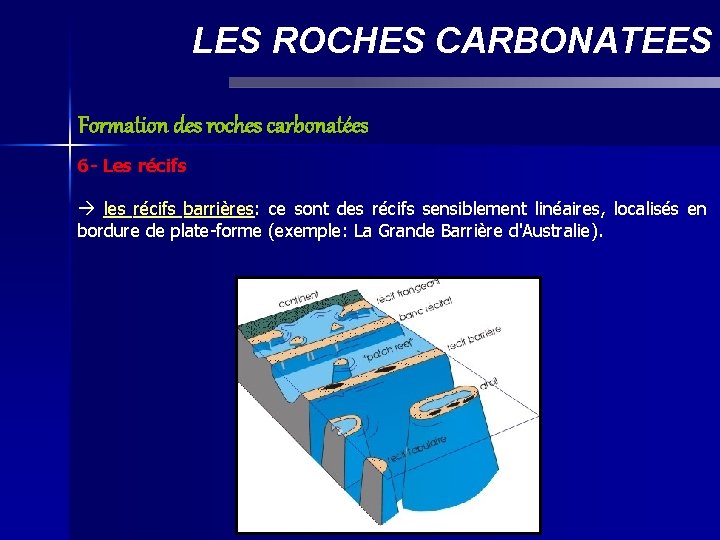 LES ROCHES CARBONATEES Formation des roches carbonatées 6 - Les récifs les récifs barrières: