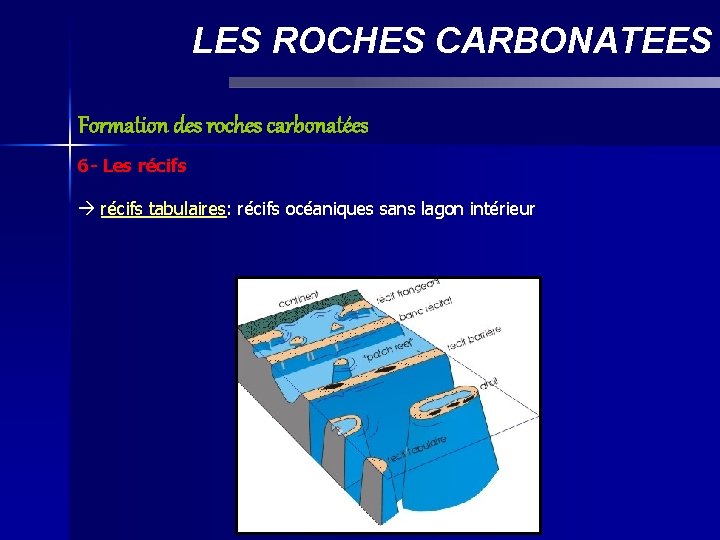 LES ROCHES CARBONATEES Formation des roches carbonatées 6 - Les récifs tabulaires: tabulaires récifs