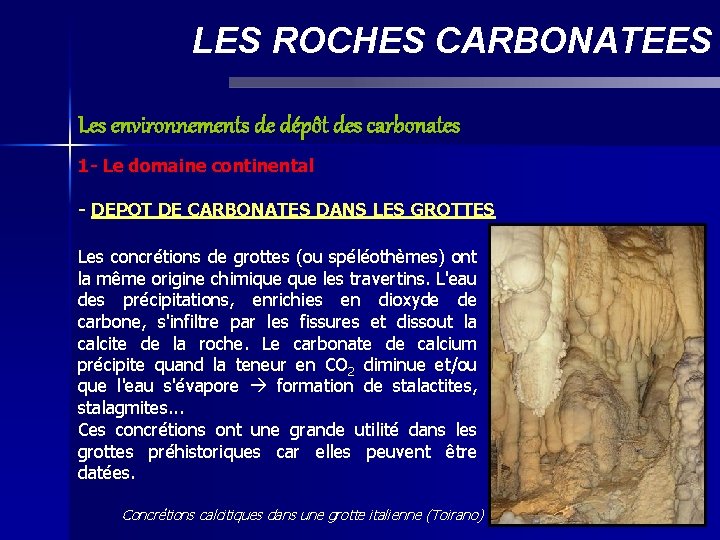 LES ROCHES CARBONATEES Les environnements de dépôt des carbonates 1 - Le domaine continental