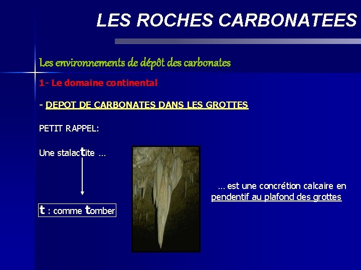 LES ROCHES CARBONATEES Les environnements de dépôt des carbonates 1 - Le domaine continental