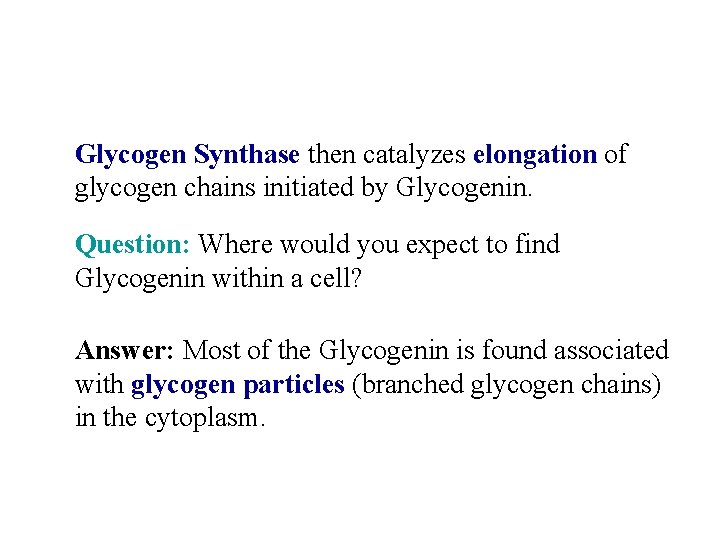Glycogen Synthase then catalyzes elongation of glycogen chains initiated by Glycogenin. Question: Where would