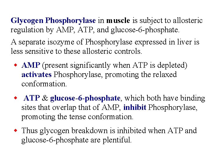 Glycogen Phosphorylase in muscle is subject to allosteric regulation by AMP, ATP, and glucose-6