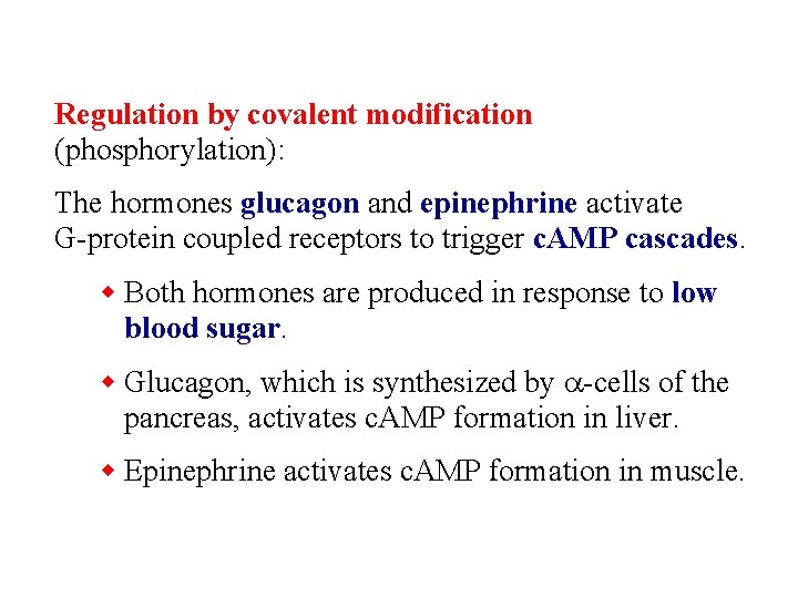 Regulation by covalent modification (phosphorylation): The hormones glucagon and epinephrine activate G-protein coupled receptors