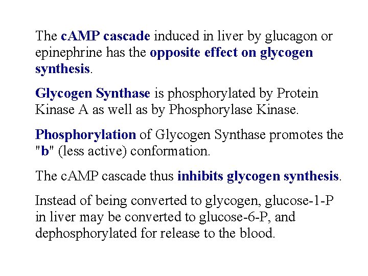 The c. AMP cascade induced in liver by glucagon or epinephrine has the opposite