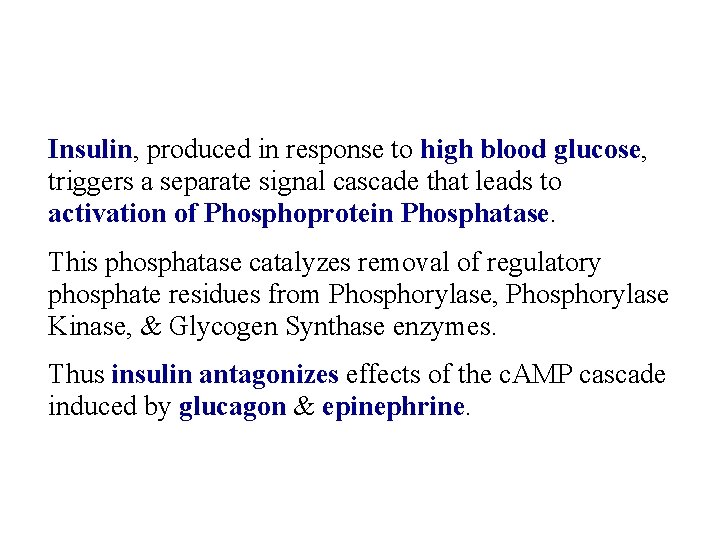 Insulin, produced in response to high blood glucose, triggers a separate signal cascade that