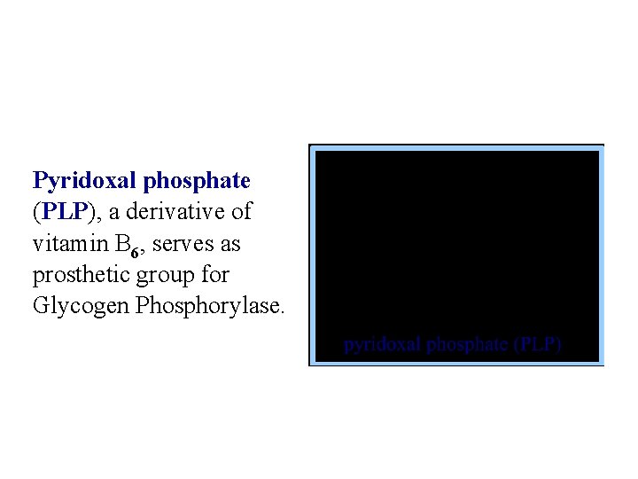 Pyridoxal phosphate (PLP), a derivative of vitamin B 6, serves as prosthetic group for