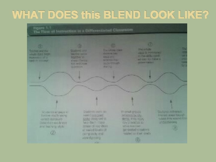 WHAT DOES this BLEND LOOK LIKE? 