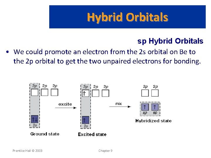 Hybrid Orbitals sp Hybrid Orbitals • We could promote an electron from the 2