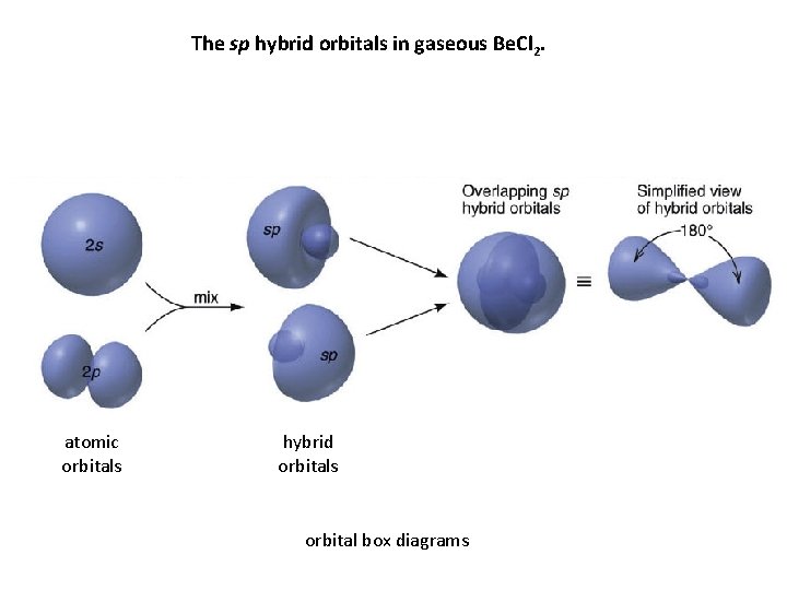 The sp hybrid orbitals in gaseous Be. Cl 2. atomic orbitals hybrid orbitals orbital