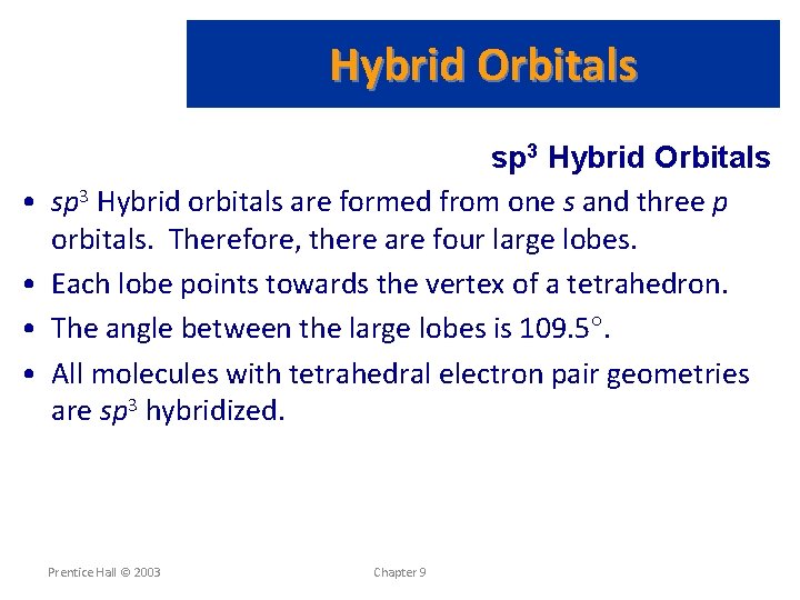 Hybrid Orbitals • • sp 3 Hybrid Orbitals sp 3 Hybrid orbitals are formed