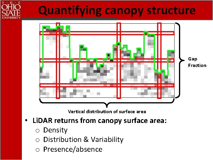 Quantifying canopy structure Gap Fraction Vertical distribution of surface area • Li. DAR returns