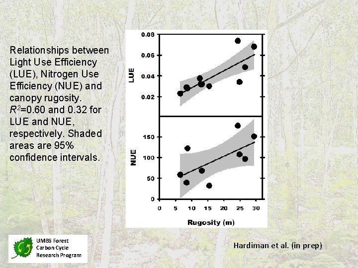 Relationships between Light Use Efficiency (LUE), Nitrogen Use Efficiency (NUE) and canopy rugosity. R