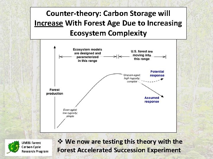 Counter-theory: Carbon Storage will Increase With Forest Age Due to Increasing Ecosystem Complexity UMBS