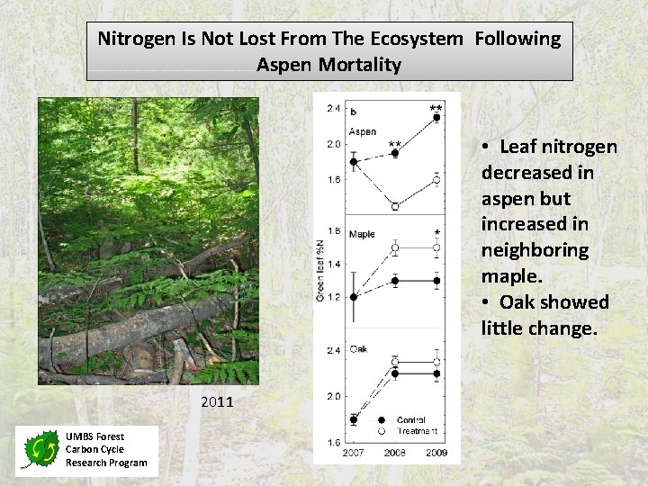 Nitrogen Is Not Lost From The Ecosystem Following Aspen Mortality • Leaf nitrogen decreased