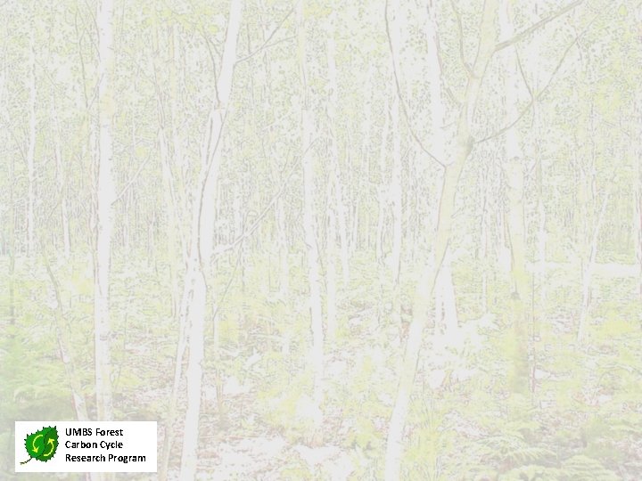 UMBS Forest Carbon Cycle Research Program 