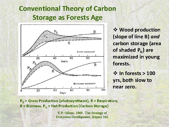 Conventional Theory of Carbon Storage as Forests Age v Wood production (slope of line