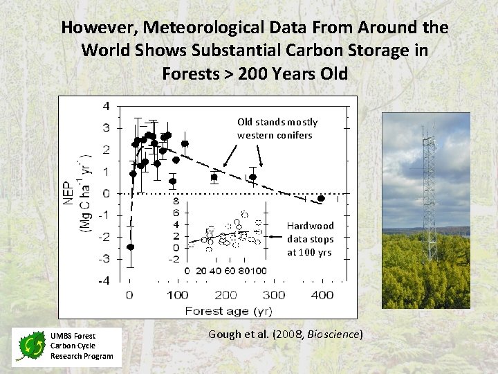 However, Meteorological Data From Around the World Shows Substantial Carbon Storage in Forests >