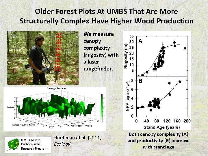 Older Forest Plots At UMBS That Are More Structurally Complex Have Higher Wood Production