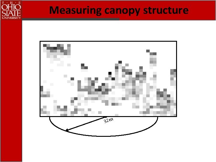 Measuring canopy structure 32 m 